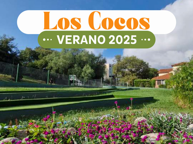 Lee más sobre el artículo Verano 2025 en Los Cocos